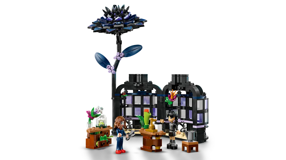 Black Dahlia Flower - Image 9