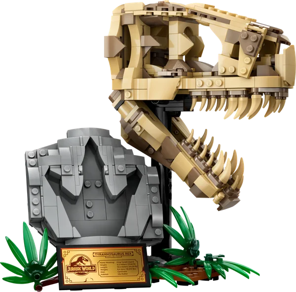 Dinosaur Fossils: T. rex Skull