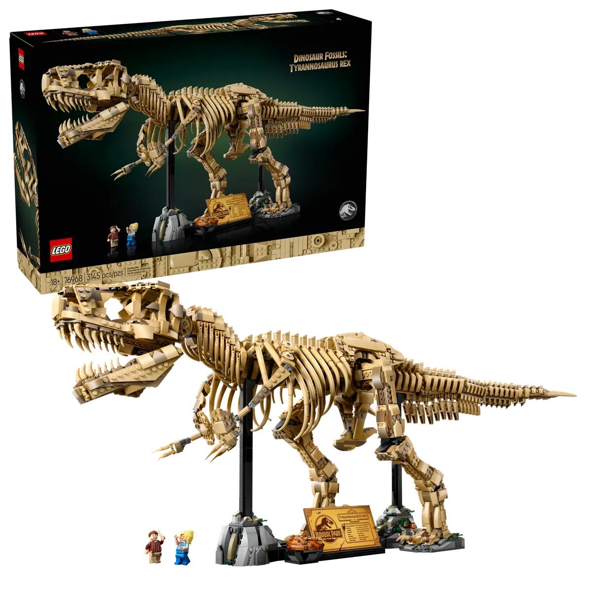 Dinosaur Fossils: Tyrannosaurus rex - Image 2