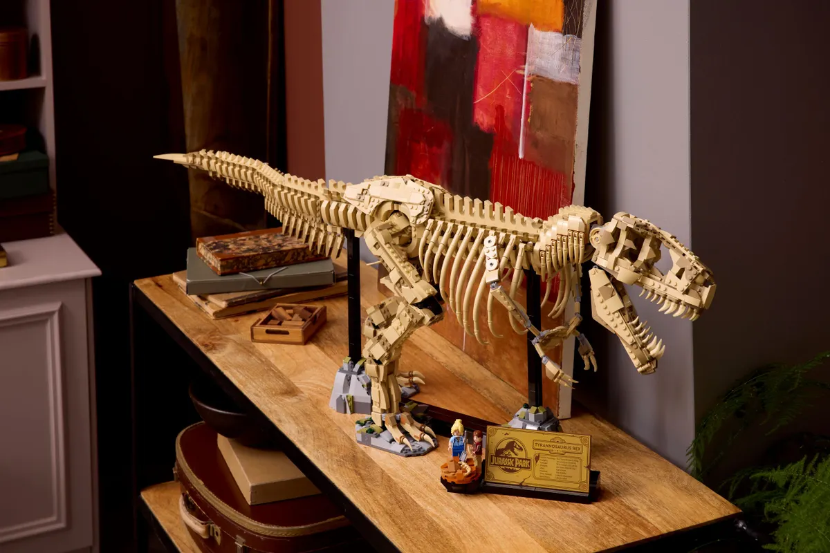 Dinosaur Fossils: Tyrannosaurus rex - Image 9