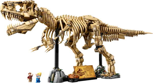 Dinosaur Fossils: Tyrannosaurus rex