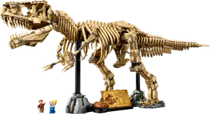 Dinosaur Fossils: Tyrannosaurus rex