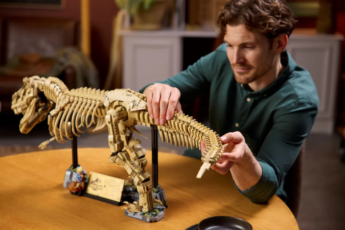 Dinosaur Fossils: Tyrannosaurus rex - Image 6