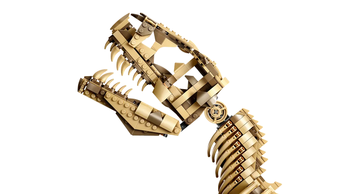 Dinosaur Fossils: Tyrannosaurus rex - Image 12