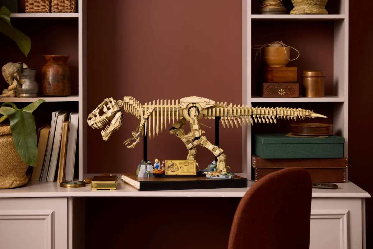 Dinosaur Fossils: Tyrannosaurus rex - Image 8