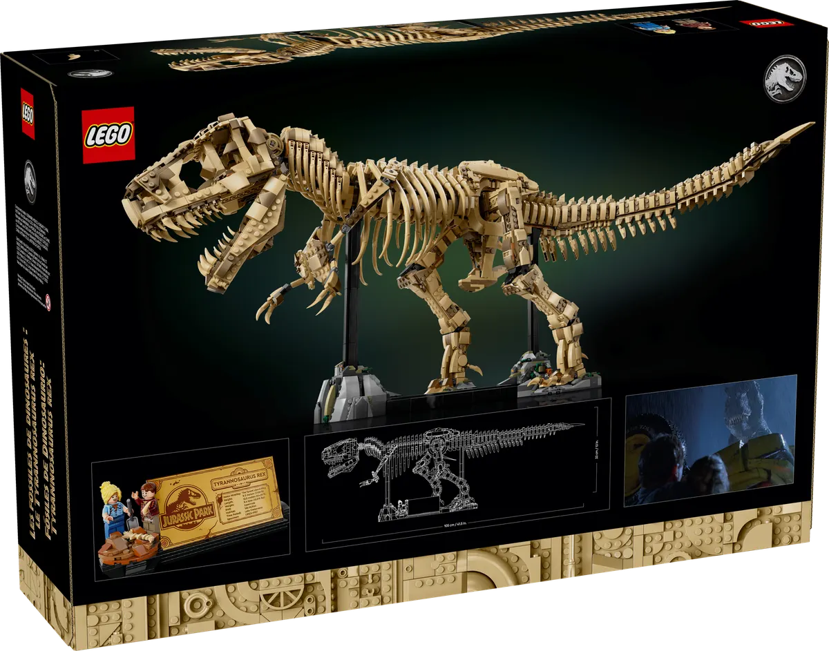 Dinosaur Fossils: Tyrannosaurus rex - Image 10