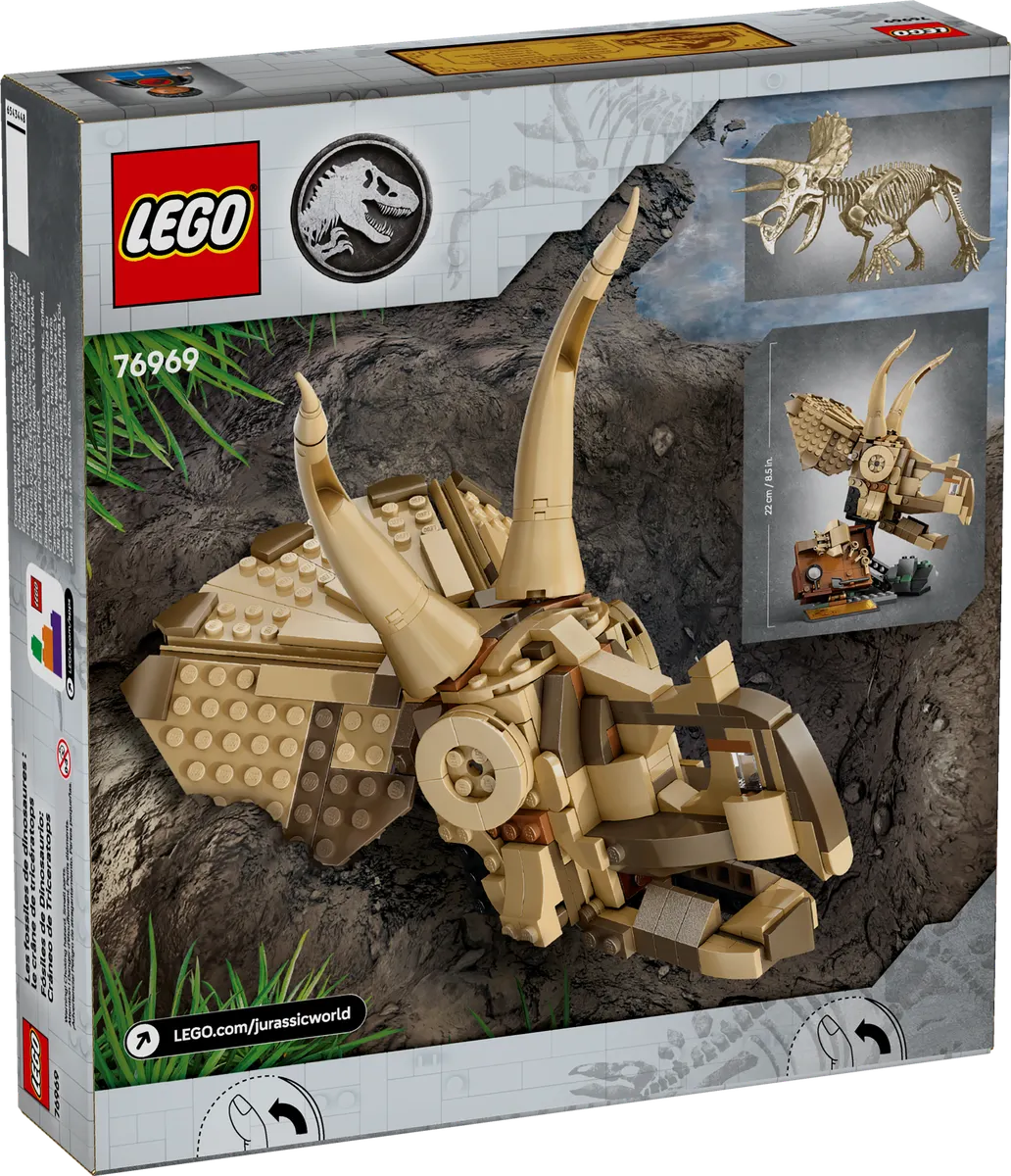 Dinosaur Fossils: Triceratops Skull - Image 7