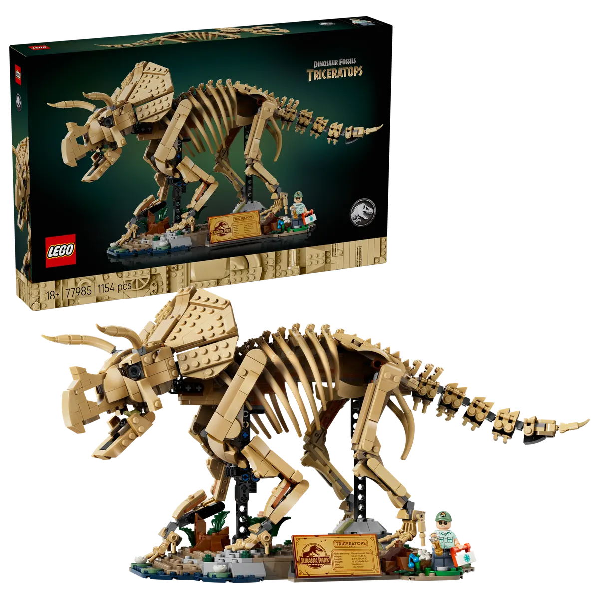 Dinosaur Fossils: Triceratops - Image 2