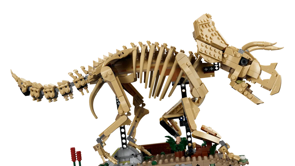 Dinosaur Fossils: Triceratops - Image 4