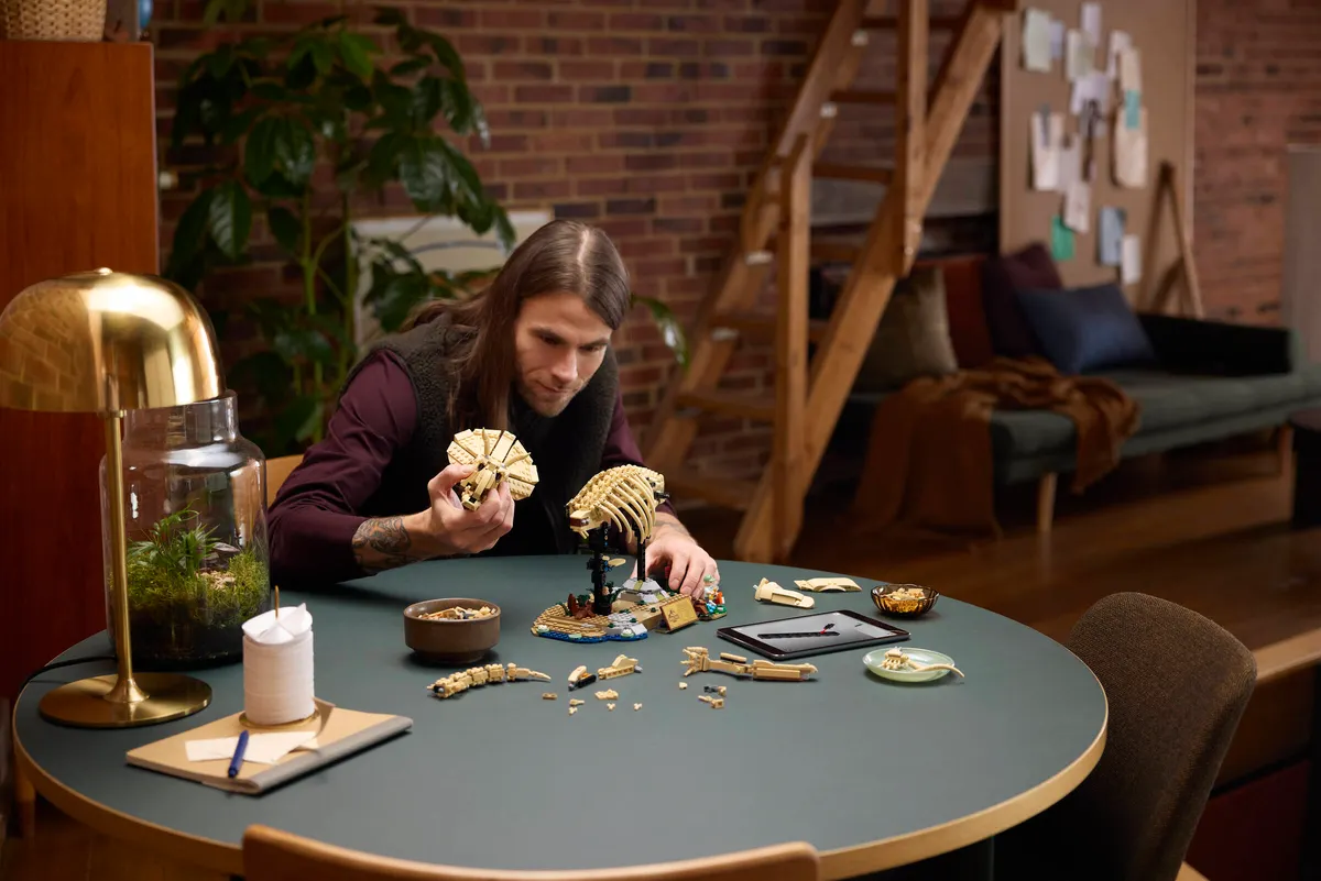 Dinosaur Fossils: Triceratops - Image 9