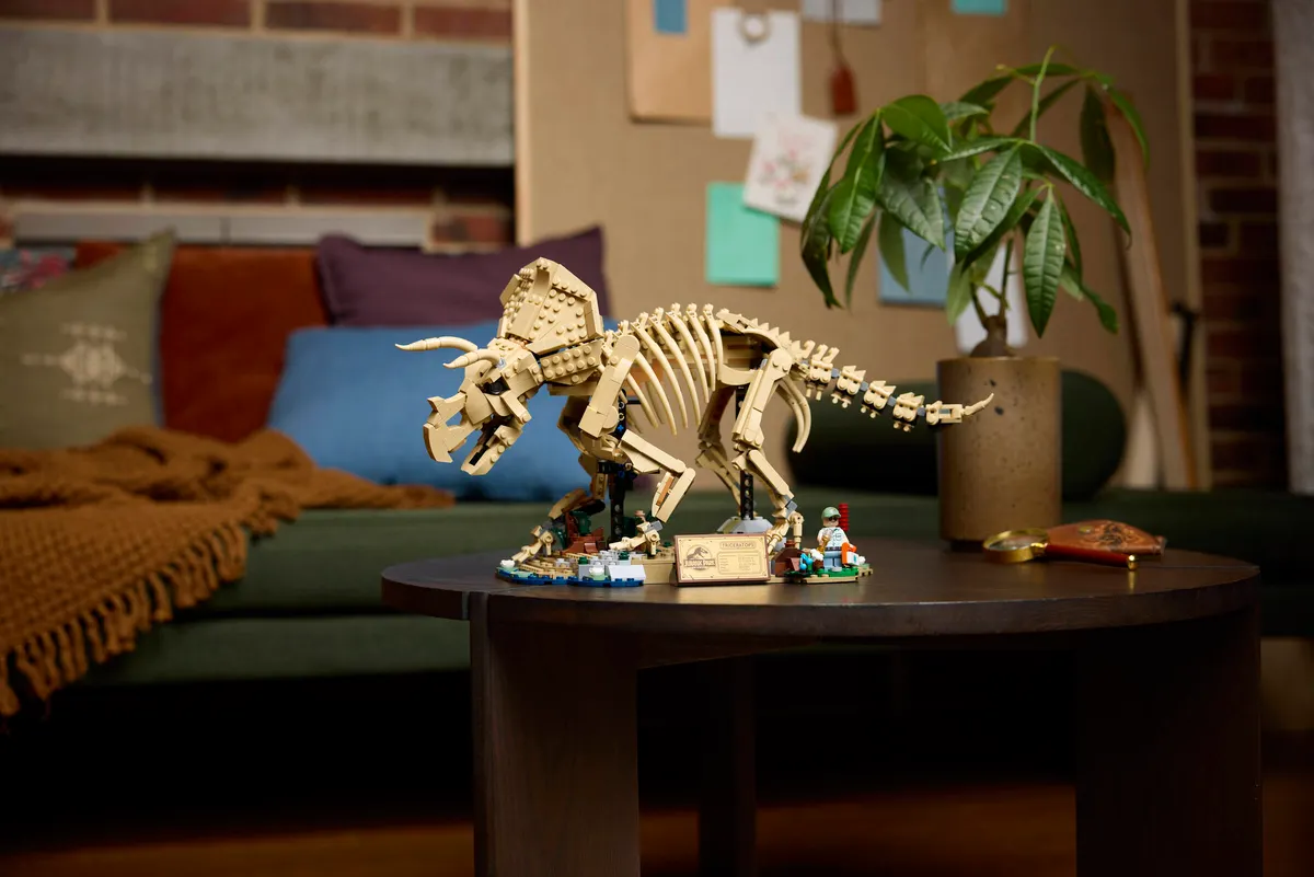 Dinosaur Fossils: Triceratops - Image 16