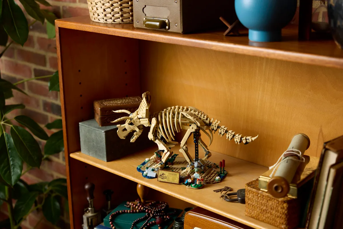 Dinosaur Fossils: Triceratops - Image 17