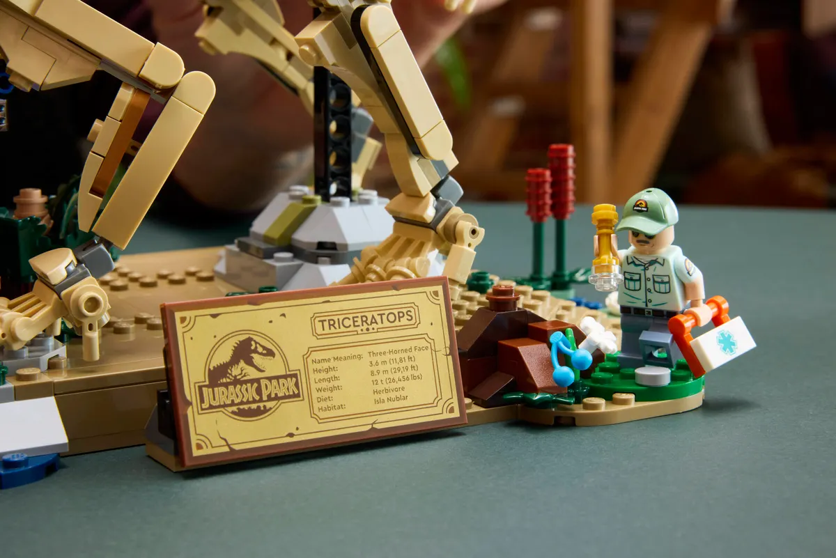 Dinosaur Fossils: Triceratops - Image 14