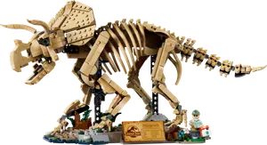 Dinosaur Fossils: Triceratops