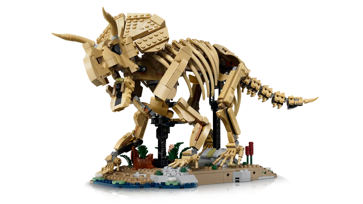 Dinosaur Fossils: Triceratops - Image 5